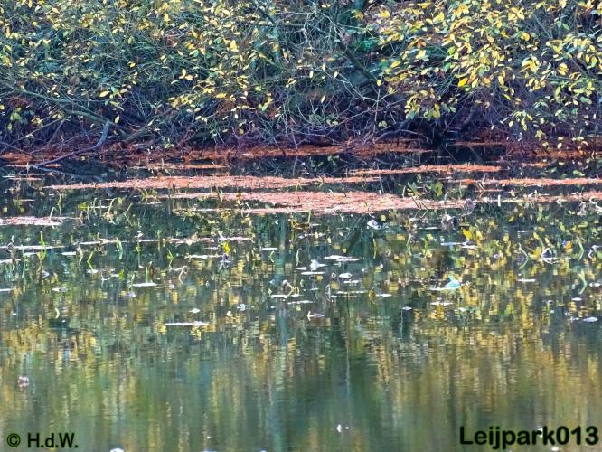 Leijpark013 17 &amp; 18 november 2020