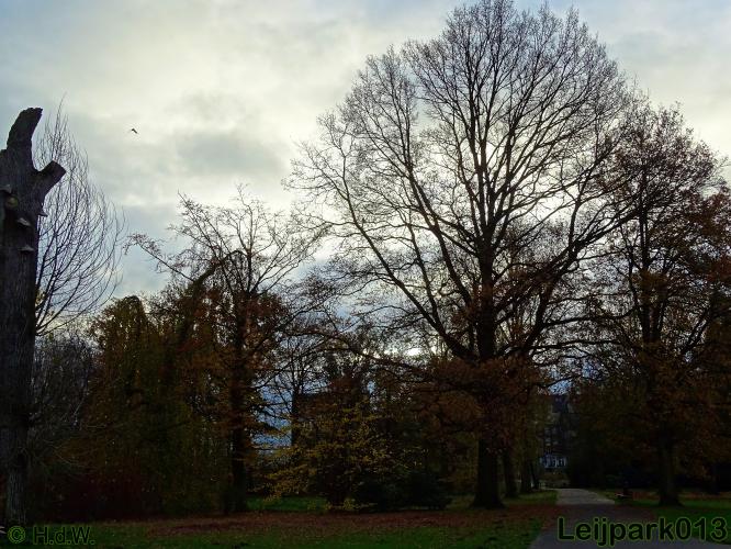 Leijpark013 17 &amp; 18 november 2020