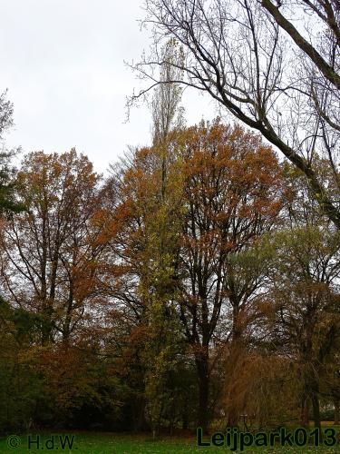 Leijpark013 17 &amp; 18 november 2020