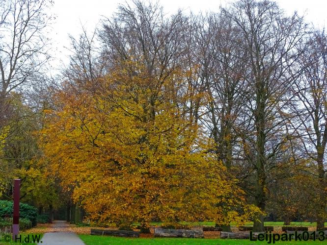 Leijpark013 17 &amp; 18 november 2020