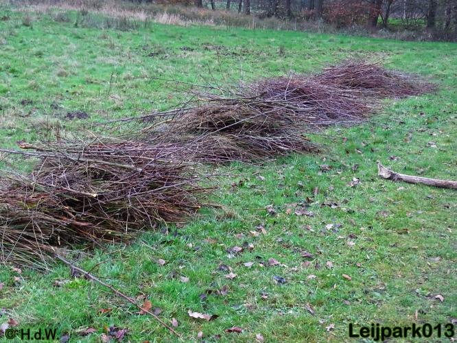 Leijpark013 30 november 2020 