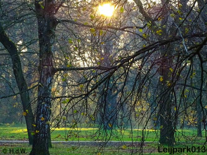 Leijpark013 30 november 2020 