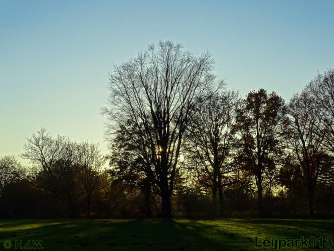 Leijpark013 30 november 2020 