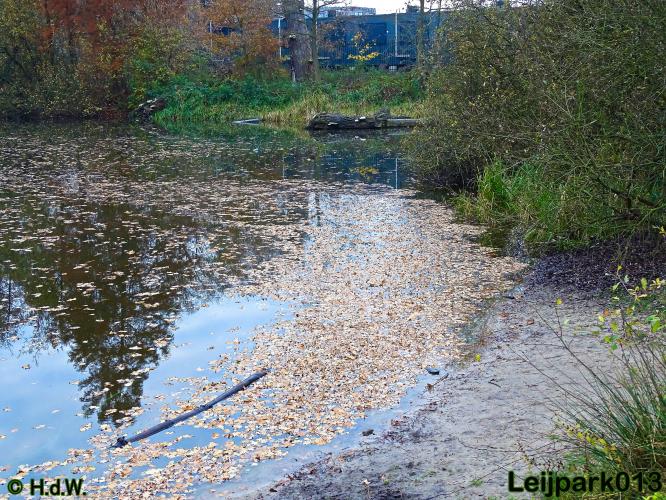 Leijpark013 30 november 2020 