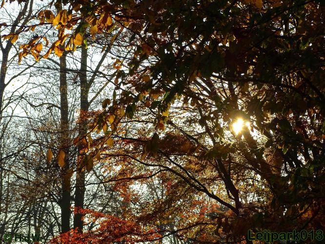 Leijpark013 30 november 2020 