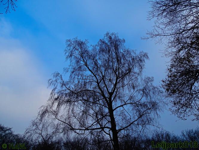 Leijpark013 30 november 2020 
