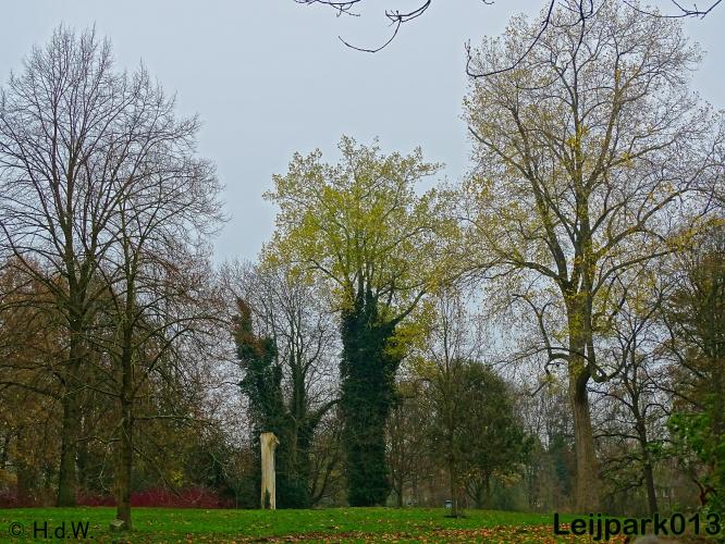 Leijpark013 30 november 2020 