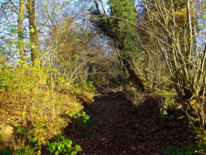 Leijpark013 30 november 2020 