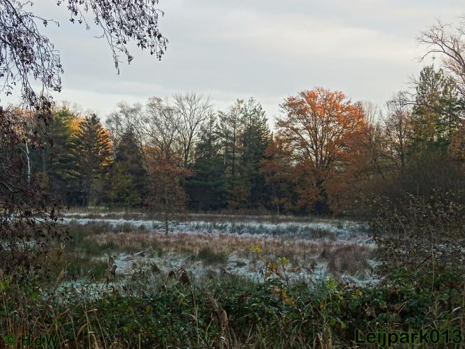 Leijpark013    4 &amp; 5 December 2020 