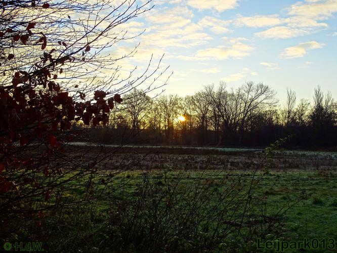 Leijpark013    4 &amp; 5 December 2020 