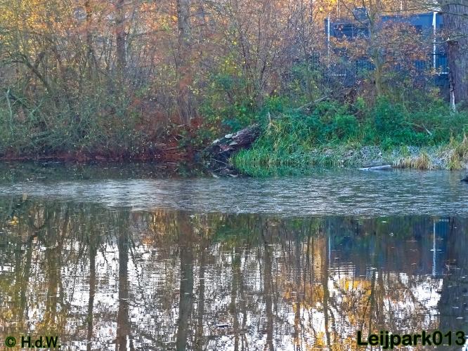 Leijpark013    4 &amp; 5 December 2020 