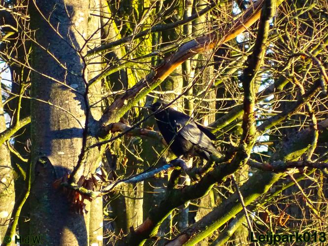 Leijpark013    4 &amp; 5 December 2020 