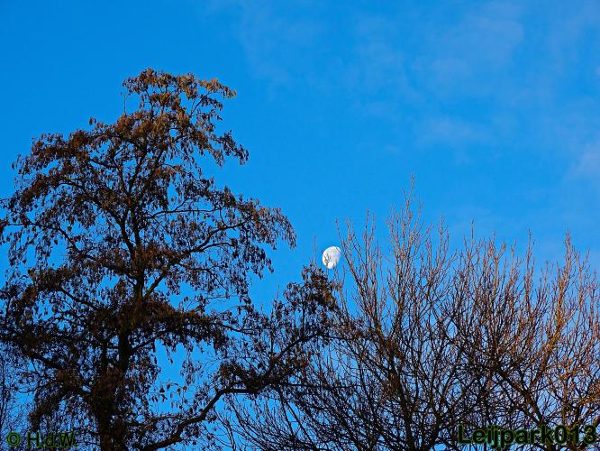 Leijpark013    4 &amp; 5 December 2020 