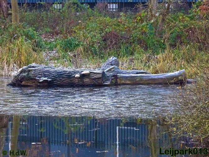 Leijpark013    4 &amp; 5 December 2020 