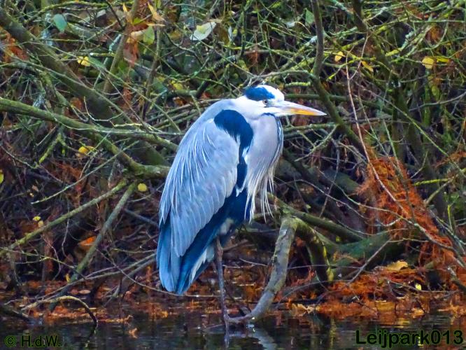 Leijpark013    4 &amp; 5 December 2020 