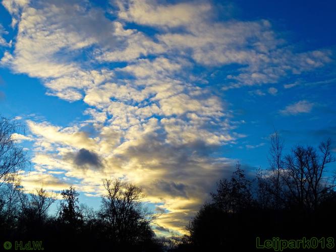 Leijpark013    4 &amp; 5 December 2020 