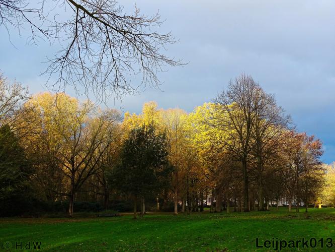 Leijpark013    4 &amp; 5 December 2020 