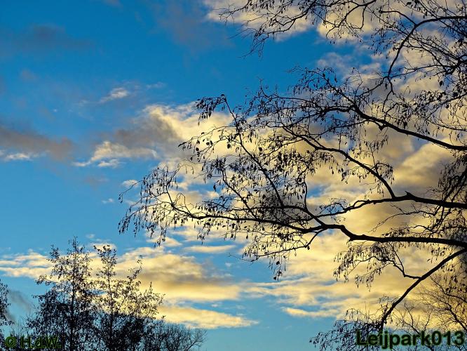 Leijpark013    4 &amp; 5 December 2020 