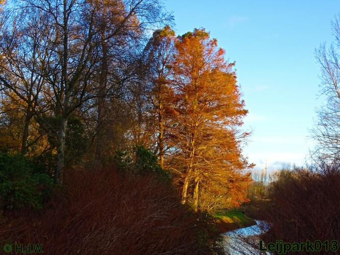 Leijpark013    4 &amp; 5 December 2020 