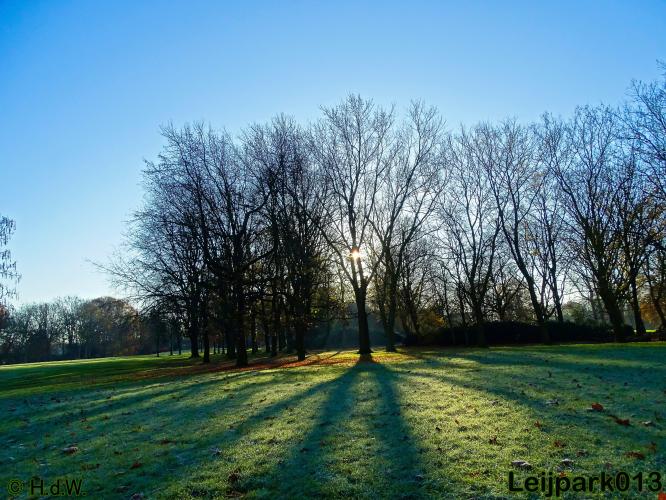 Leijpark013    4 &amp; 5 December 2020 