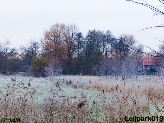 Leijpark013    5 &amp; 6 december 2020 