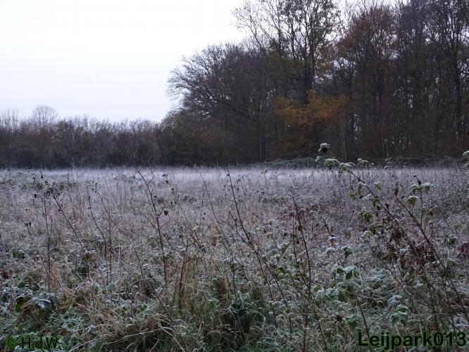 Leijpark013    5 &amp; 6 december 2020 