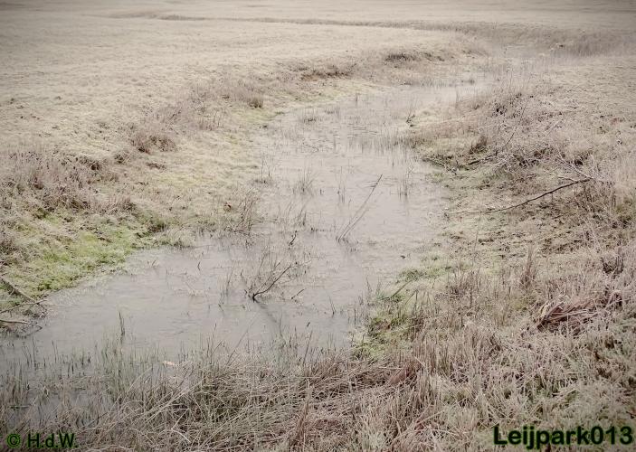 Leijpark013    5 &amp; 6 december 2020 