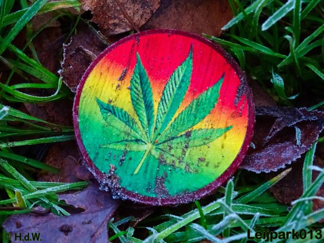 Leijpark013    5 &amp; 6 december 2020 