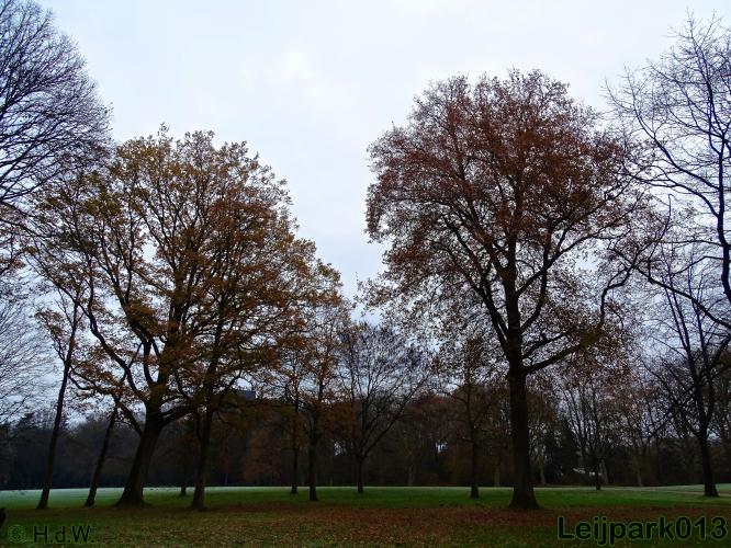 Leijpark013    5 &amp; 6 december 2020 