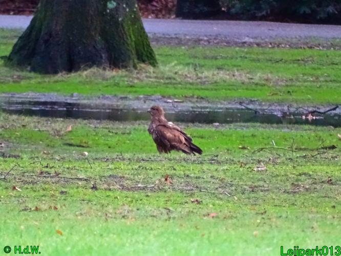 Leijpark013   25 &amp; 26 &amp; 27 januari 2021 