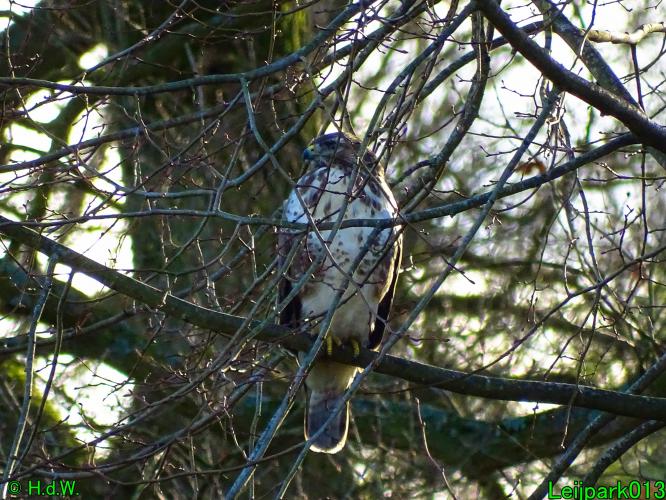 Leijpark013   25 &amp; 26 &amp; 27 januari 2021 