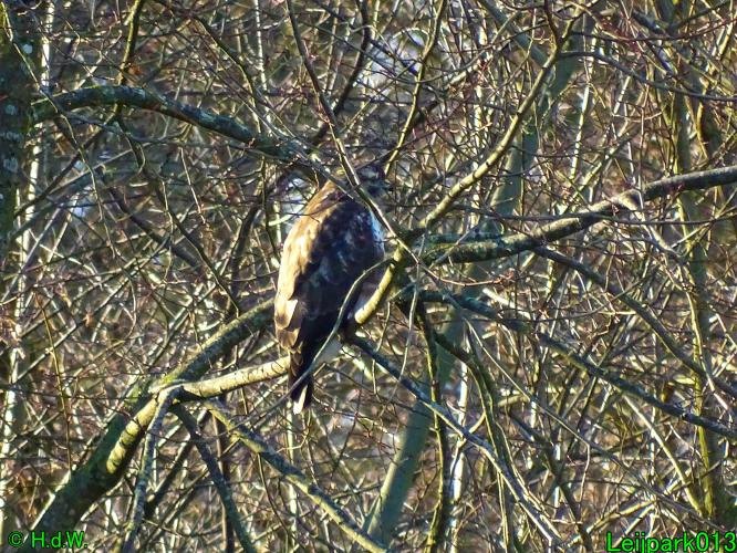 Leijpark013   25 &amp; 26 &amp; 27 januari 2021 