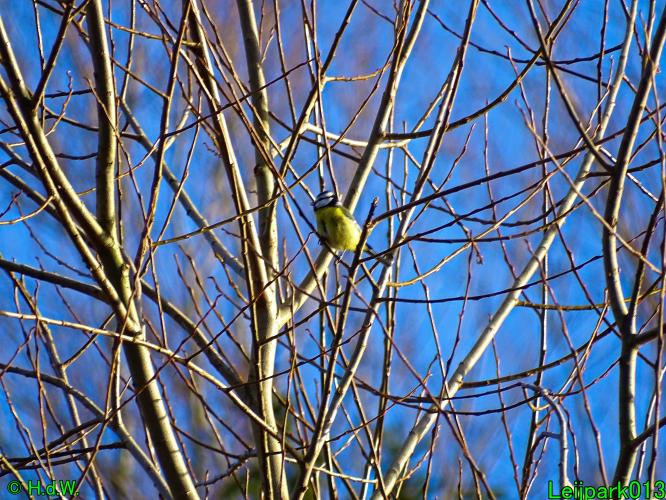 Leijpark013   25 &amp; 26 &amp; 27 januari 2021 