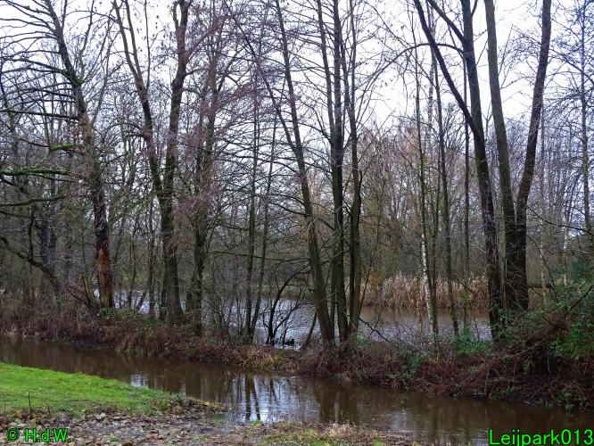 Leijpark013   25 &amp; 26 &amp; 27 januari 2021 