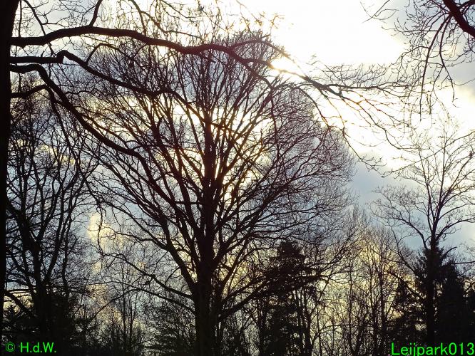 Leijpark013   25 &amp; 26 &amp; 27 januari 2021 