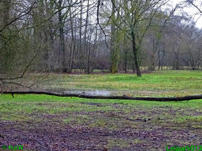 Leijpark013   25 &amp; 26 &amp; 27 januari 2021 