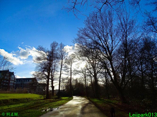 Leijpark013   25 &amp; 26 &amp; 27 januari 2021 