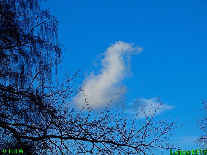 Leijpark013   25 &amp; 26 &amp; 27 januari 2021 