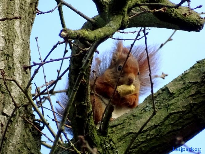 Leijpark013    9 &amp; 10 maart 2021 