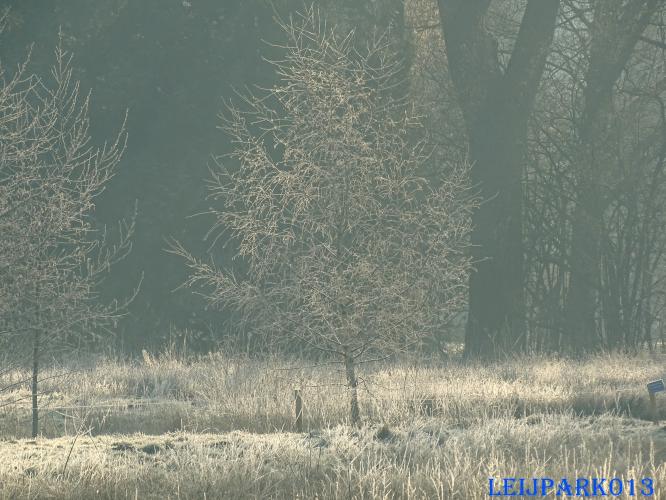 Leijpark013    9 &amp; 10 maart 2021 