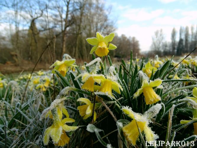Leijpark013    9 &amp; 10 maart 2021 
