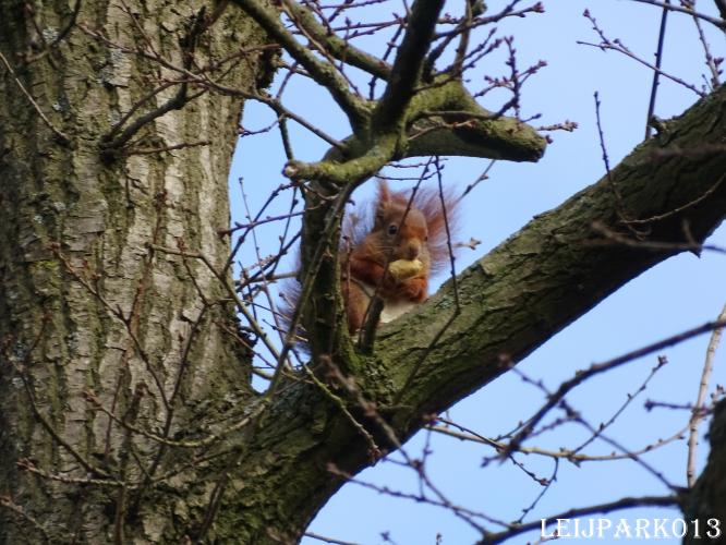 Leijpark013    9 &amp; 10 maart 2021 