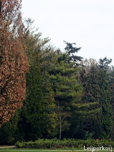 Leijpark013    9 &amp; 10 maart 2021 