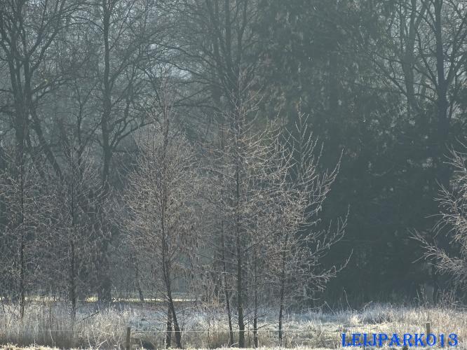 Leijpark013    9 &amp; 10 maart 2021 