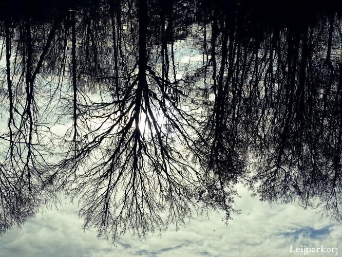 Leijpark013    9 &amp; 10 maart 2021 