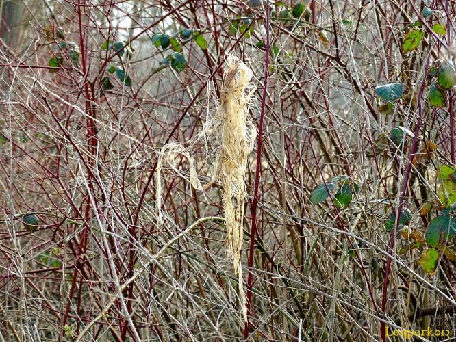 Leijpark013    9 &amp; 10 maart 2021 