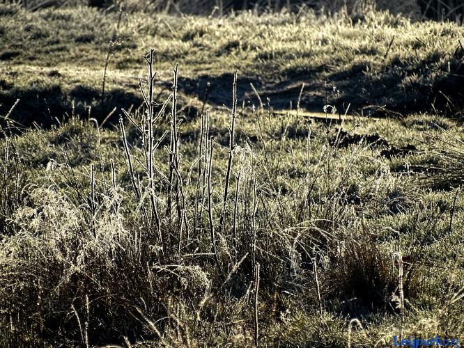 Leijpark013    9 &amp; 10 maart 2021 