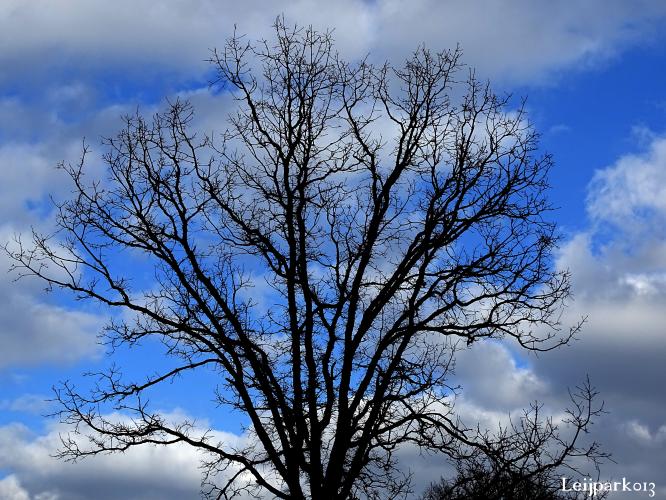 Leijpark013    9 &amp; 10 maart 2021 