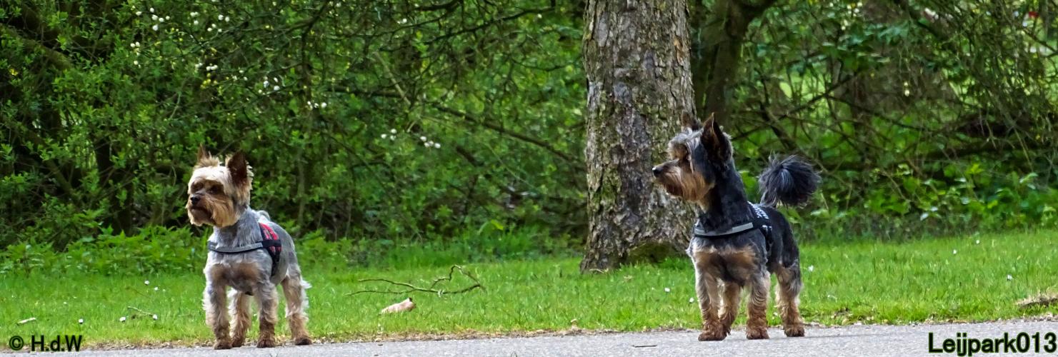 Leijpark013 Beestenboel 7 mei 2021 