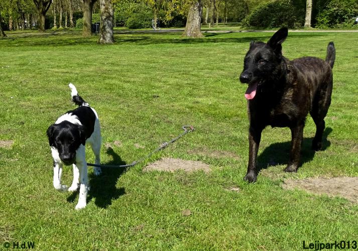 Leijpark013 Beestenboel 7 mei 2021 